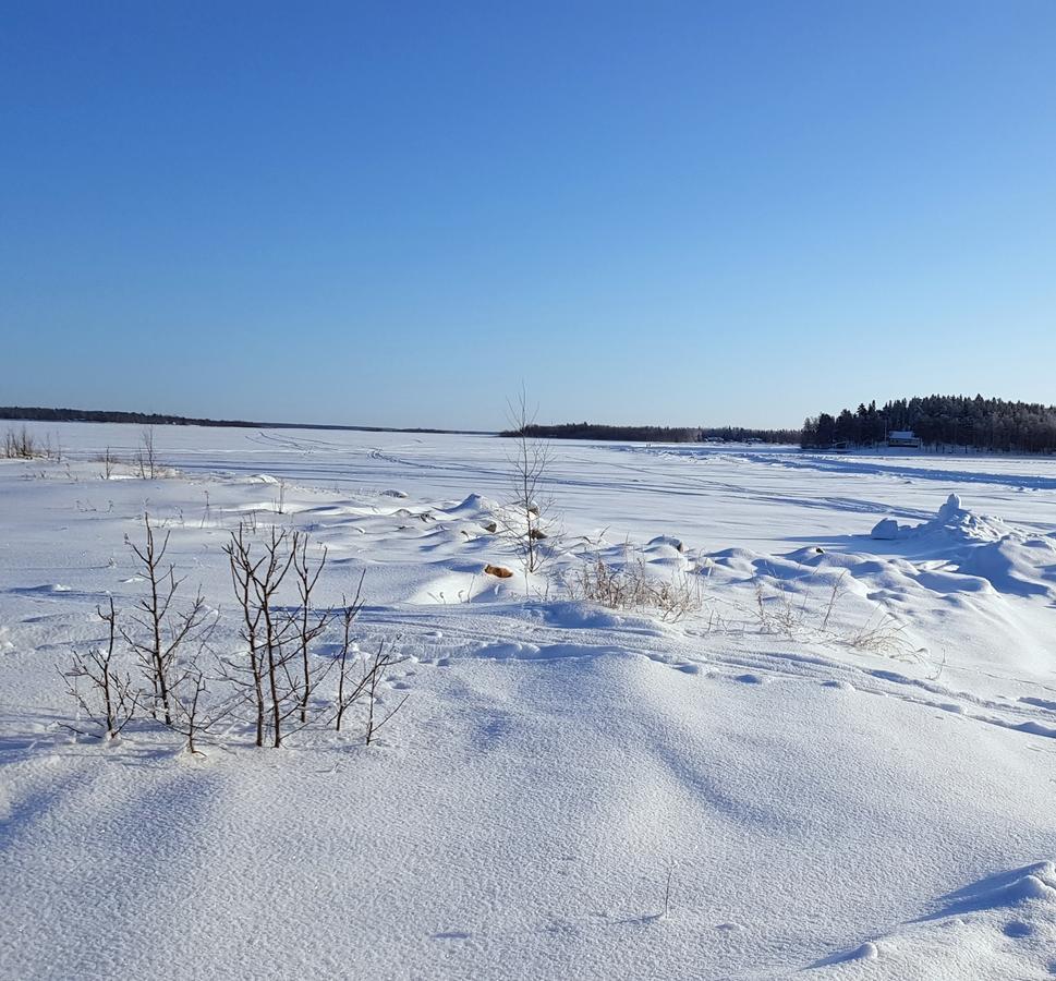 Amazing Sea View Luleå Villa Exteriör bild